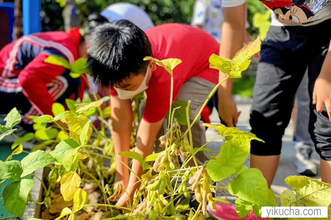 惠州市学校要组织春秋游适合学生游玩的地方果盛生态园-图2