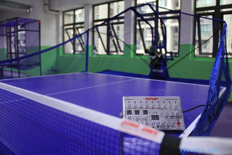 成都蓝天乒乓球青少年培训俱乐部,动物园-图2